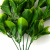 Трава искусственная -1, шт (эвкалипт лист 32 см/8 см)				 - купить в Обнинске. Цена: 169.93 руб.