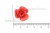 Украшение "Розы малые №1" 20мм - купить в Обнинске. Цена: 32.49 руб.