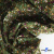 Ткань костюмная «Микровельвет велюровый принт», 220 г/м2, 97% полиэстр, 3% спандекс, ш. 150См Цв  #9 - купить в Обнинске. Цена 439.76 руб.