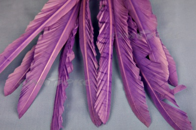 Декоративный Пучок из перьев, перо 25см/фиолетовый - купить в Обнинске. Цена: 12.19 руб.