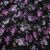 Плательная ткань "Фламенко" 20.1, 80 гр/м2, шир.150 см, принт растительный - купить в Обнинске. Цена 243.96 руб.