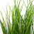 Трава искусственная -4, шт  (осока 50 см/8 см  7 листов)				 - купить в Обнинске. Цена: 132.07 руб.