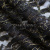 Кружевное полотно XD LACE 1-4, 80 гр/м2, шир.150см, цвет чёрный - купить в Обнинске. Цена 245.94 руб.